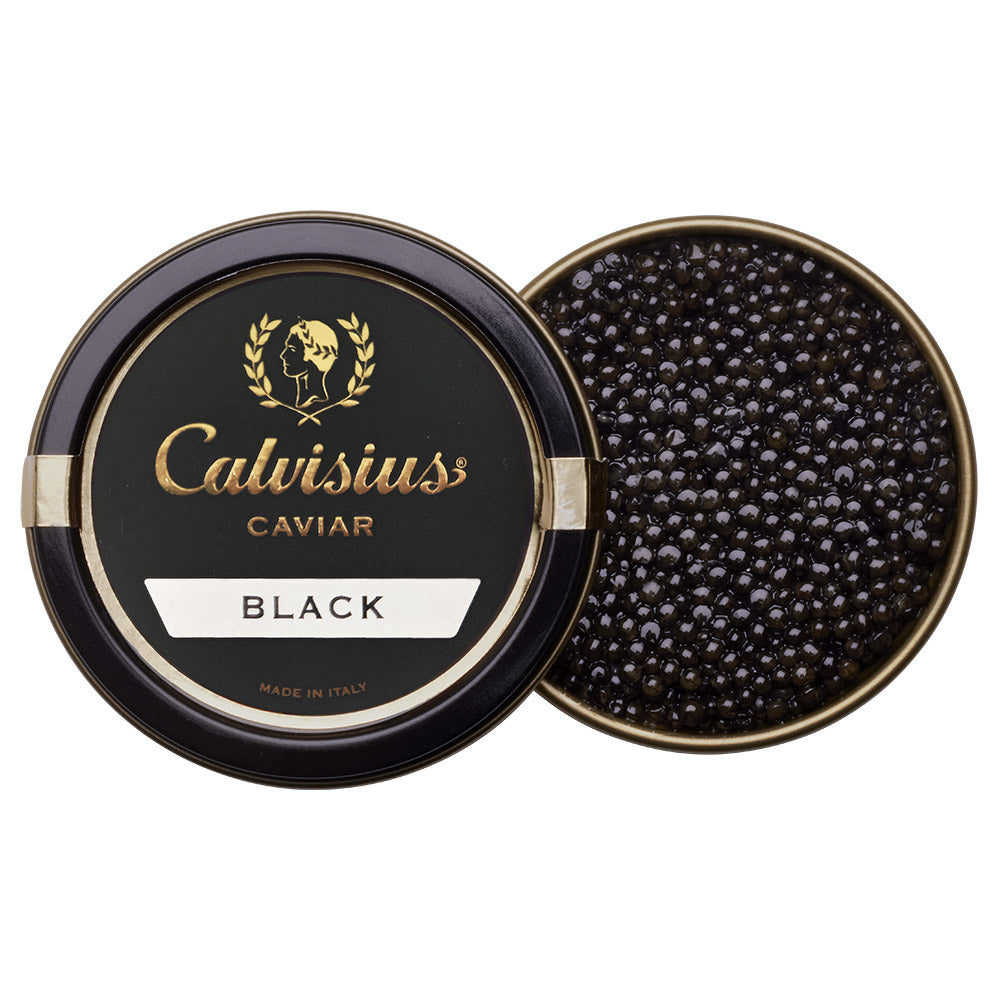 Calvisius Black