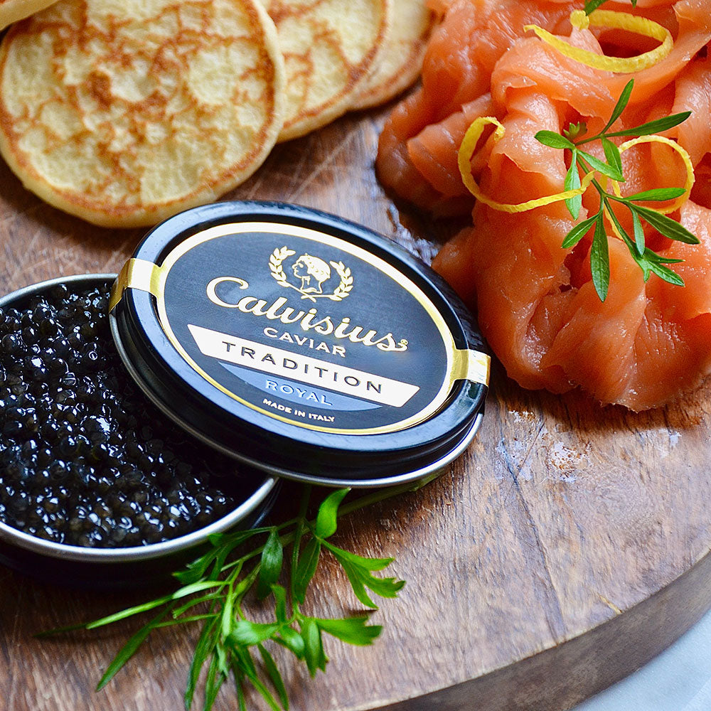 Calvisius Tradition Royal