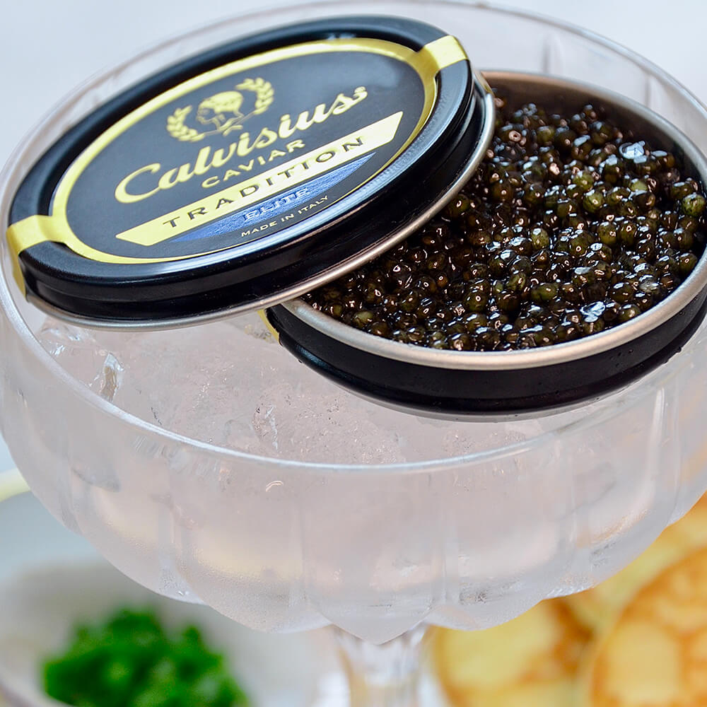 Calvisius Tradition Elite