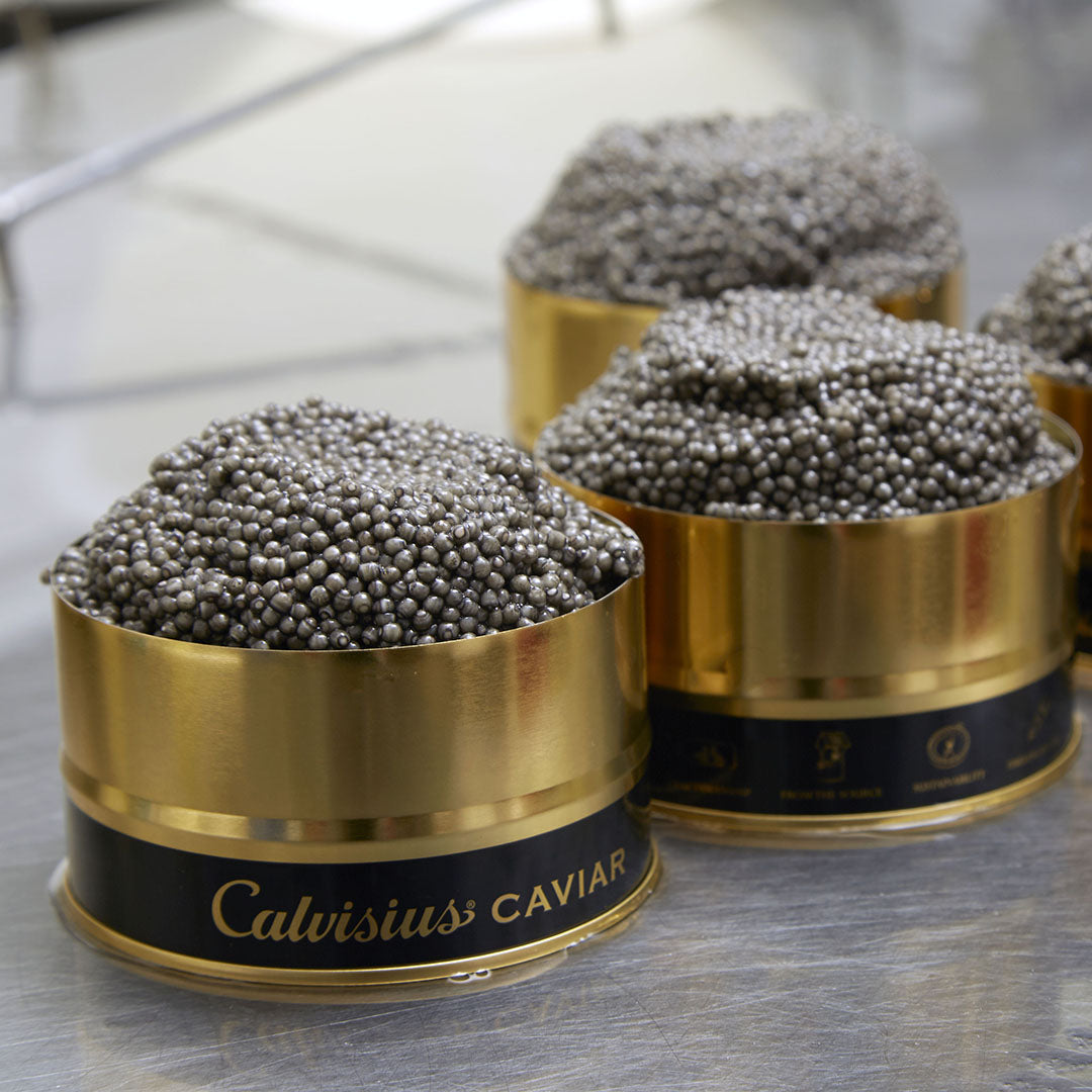 Caviar Masters’ Concierge Club