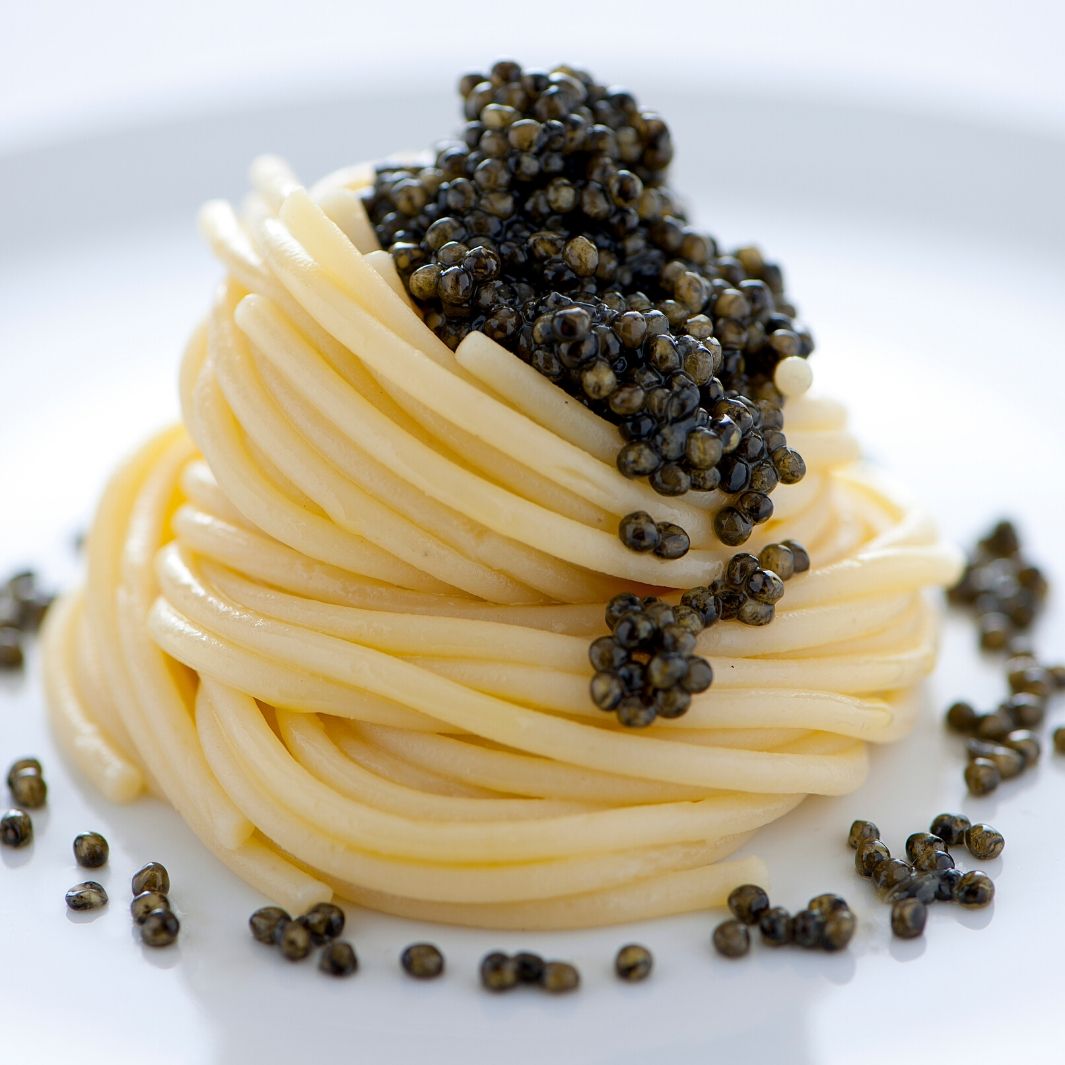 Calvisius Tradition Prestige