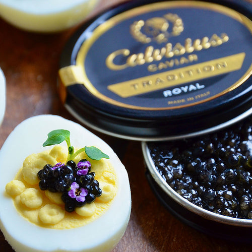 Calvisius Caviar USA | Premium Italian Caviar Online